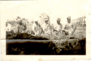 Fotó: K Lázár Julianna