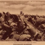 Magyar Kánaán_Dohány ültetvény